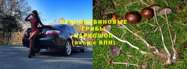 стафф Арсеньев