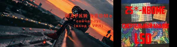 стафф Арсеньев