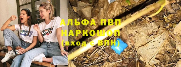 стафф Арсеньев
